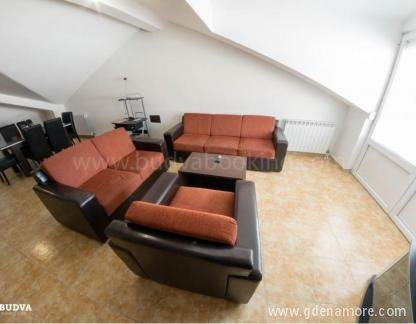 Vila More, Lux apartman 1, private accommodation in city Budva, Montenegro - BBBF0DEC-835C-41D6-BD66-CD1F1CA33C40 (1)
